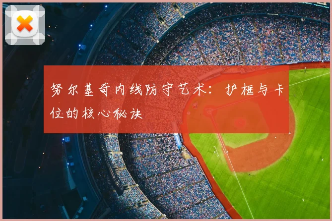 努尔基奇内线防守艺术：护框与卡位的核心秘诀