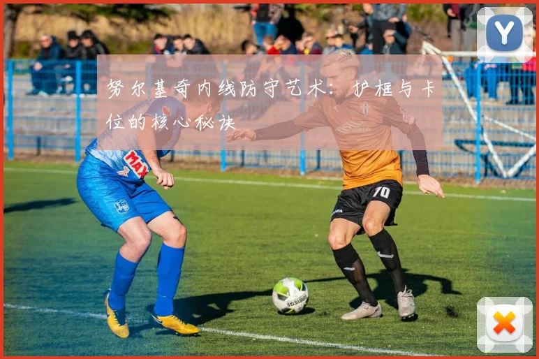 努尔基奇内线防守艺术:护框与卡位的核心秘诀