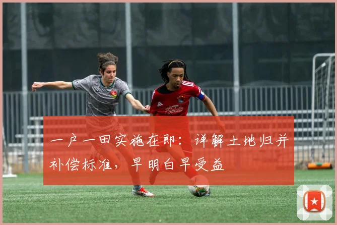 一户一田实施在即:详解土地归并补偿标准,早明白早受益